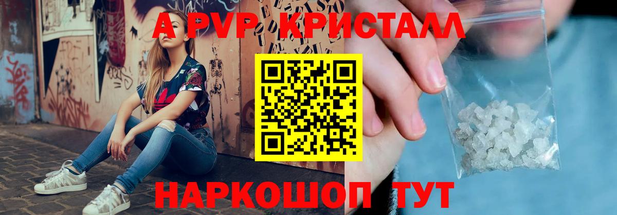 A PVP СК КРИС Гатчина