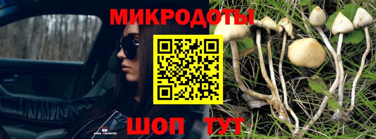 как найти закладки  Вход с VPN  Гатчина  Псилоцибиновые грибы мицелий 